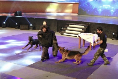 Điểm danh sao Việt bị 'hành hạ' trên sóng truyền hình